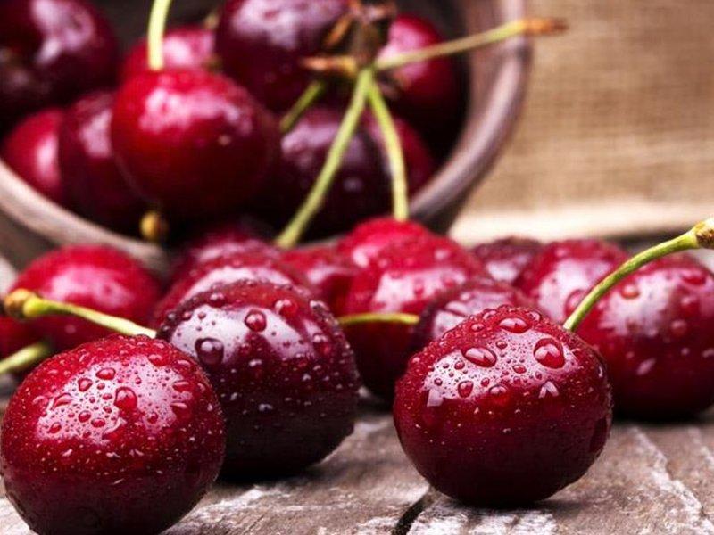 Вишня купить саженцы из питомника в Сургуте